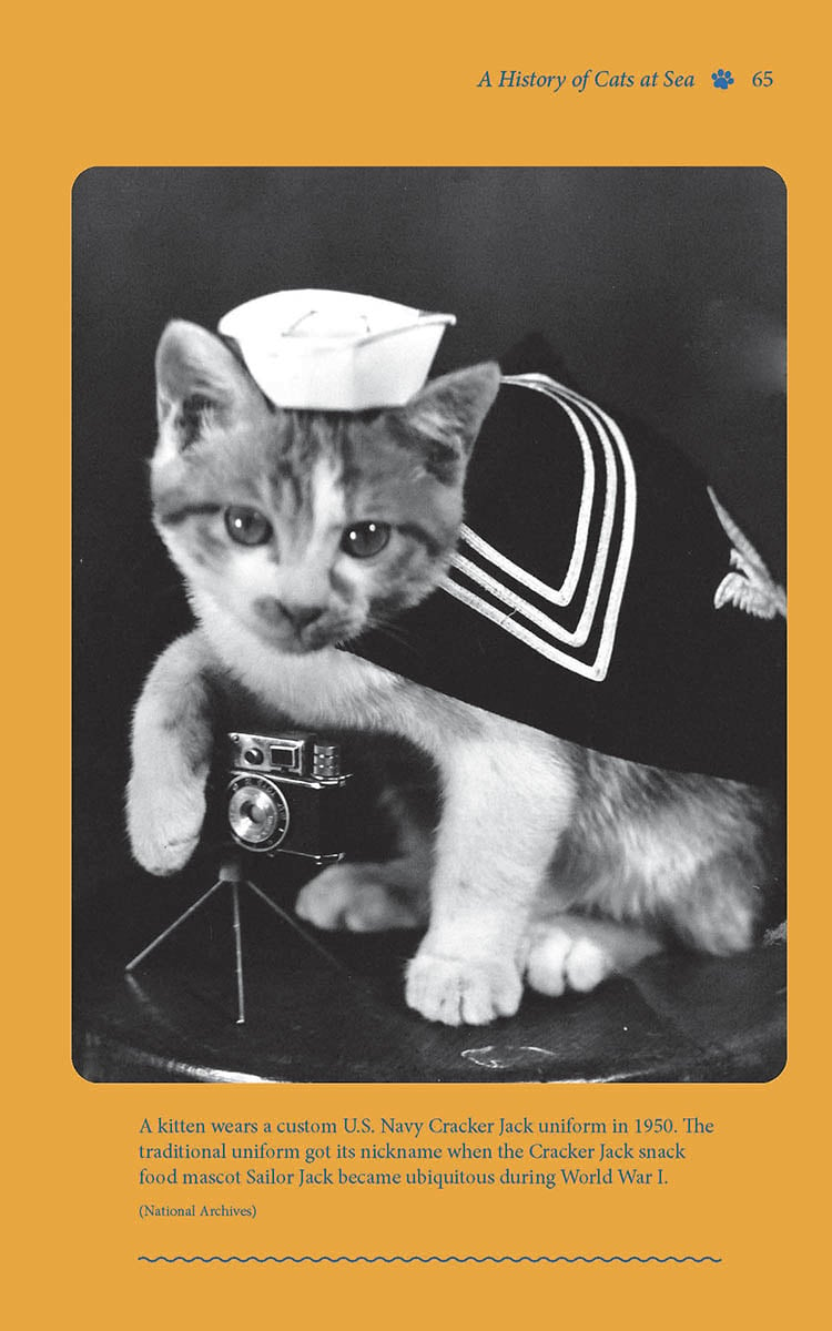 A kitten wears a custom U.S. Navy Cracker Jack uniform in 1950.