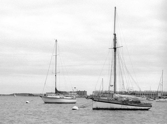 Two sloops moored in Boston’s inner harbor, 18 September 2020.